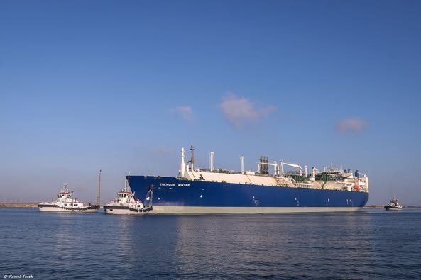 ميناء دمياط يستقبل 25379 طن ذرة و 10546 طن قمح