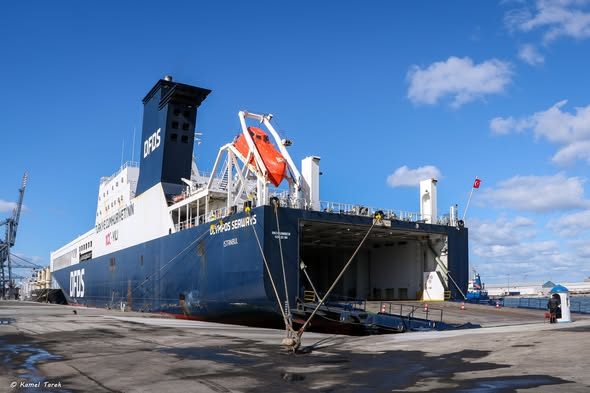 ميناء دمياط يستقبل 5850 طن ذرة و 11131 طن فول صويا