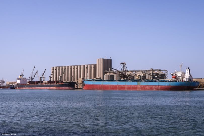 ميناء دمياط يستقبل 10585 طن ذرة و 8885 طن قمح