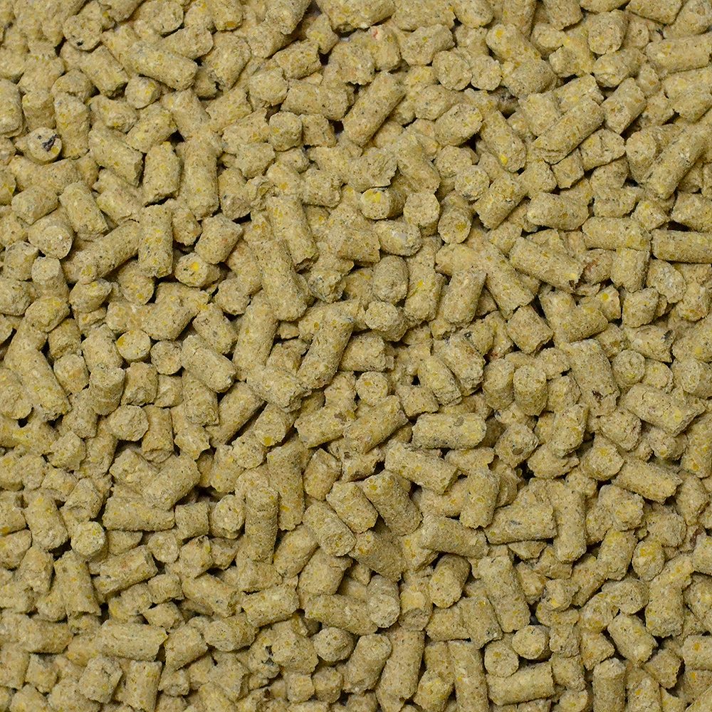 العبور للأعلاف تنفي وجود أي عمليات تخزين بعد ارتفاع أسعار الخامات