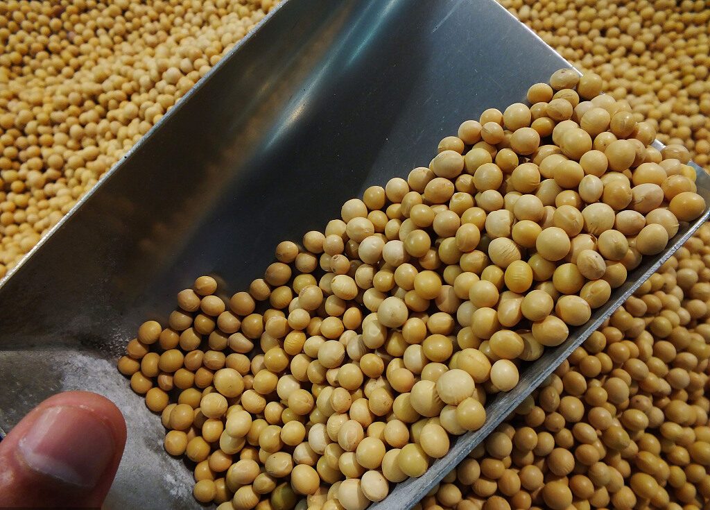 واردات الاتحاد الأوروبي من فول الصويا تصل لـ 2.85 مليون طن خلال موسم 2023/24