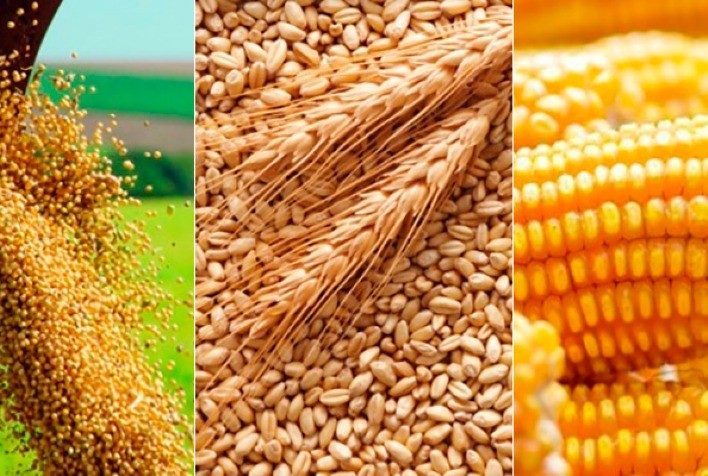 مخزونات فول الصويا والقمح الأمريكية لشهر سبتمبر تتجاوز توقعات السوق