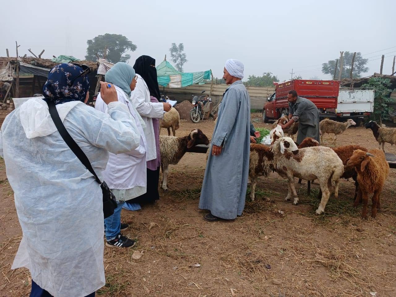 "الزراعة" تنفذ حزمة أنشطة موسعة للتقصي والترصد الوبائي للأمراض بجميع المحافظات خلال نوفمبر