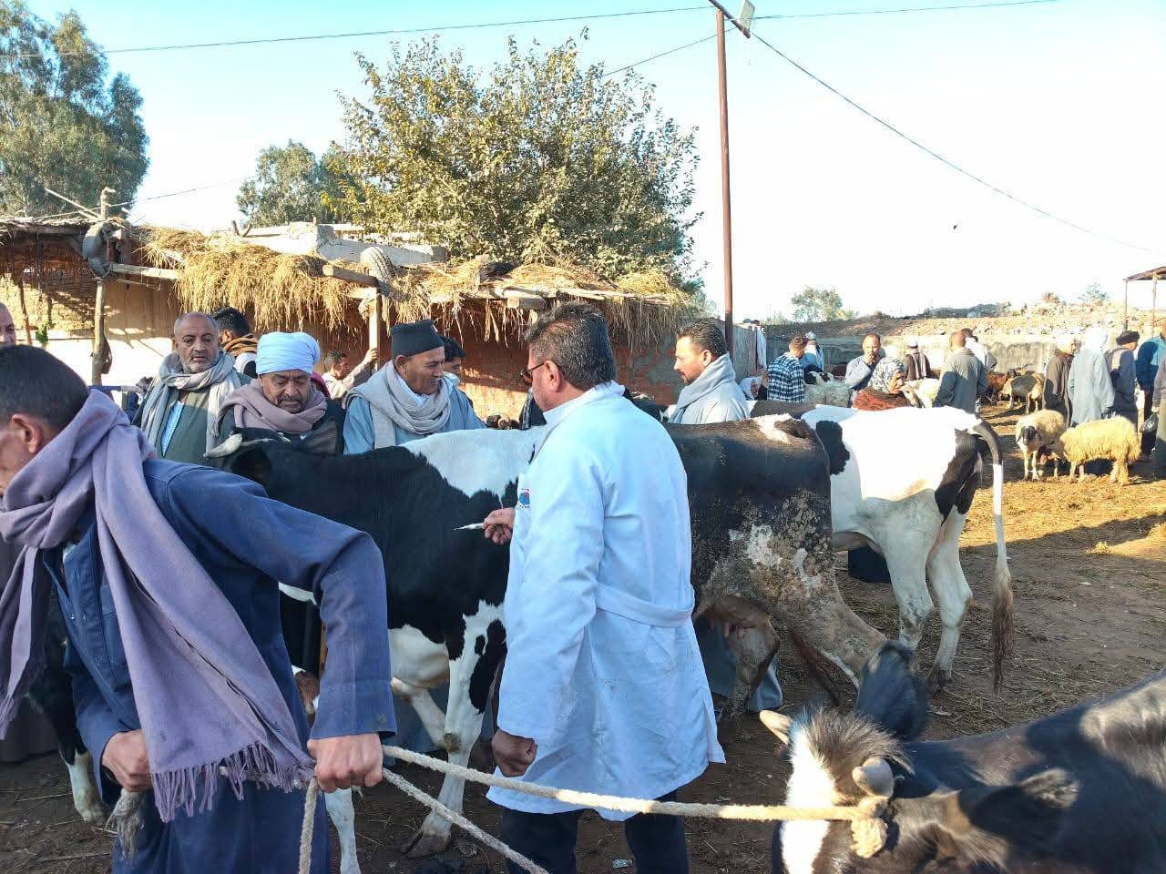 "الزراعة": تحصين الماشية بأكثر من 8.5 مليون جرعة للقاحي الحمى القلاعية