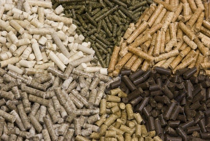 البرازيل تتوقع زيادة إنتاج الأعلاف بنسبة 2,4% لتسجل 85 مليون طن في 2024