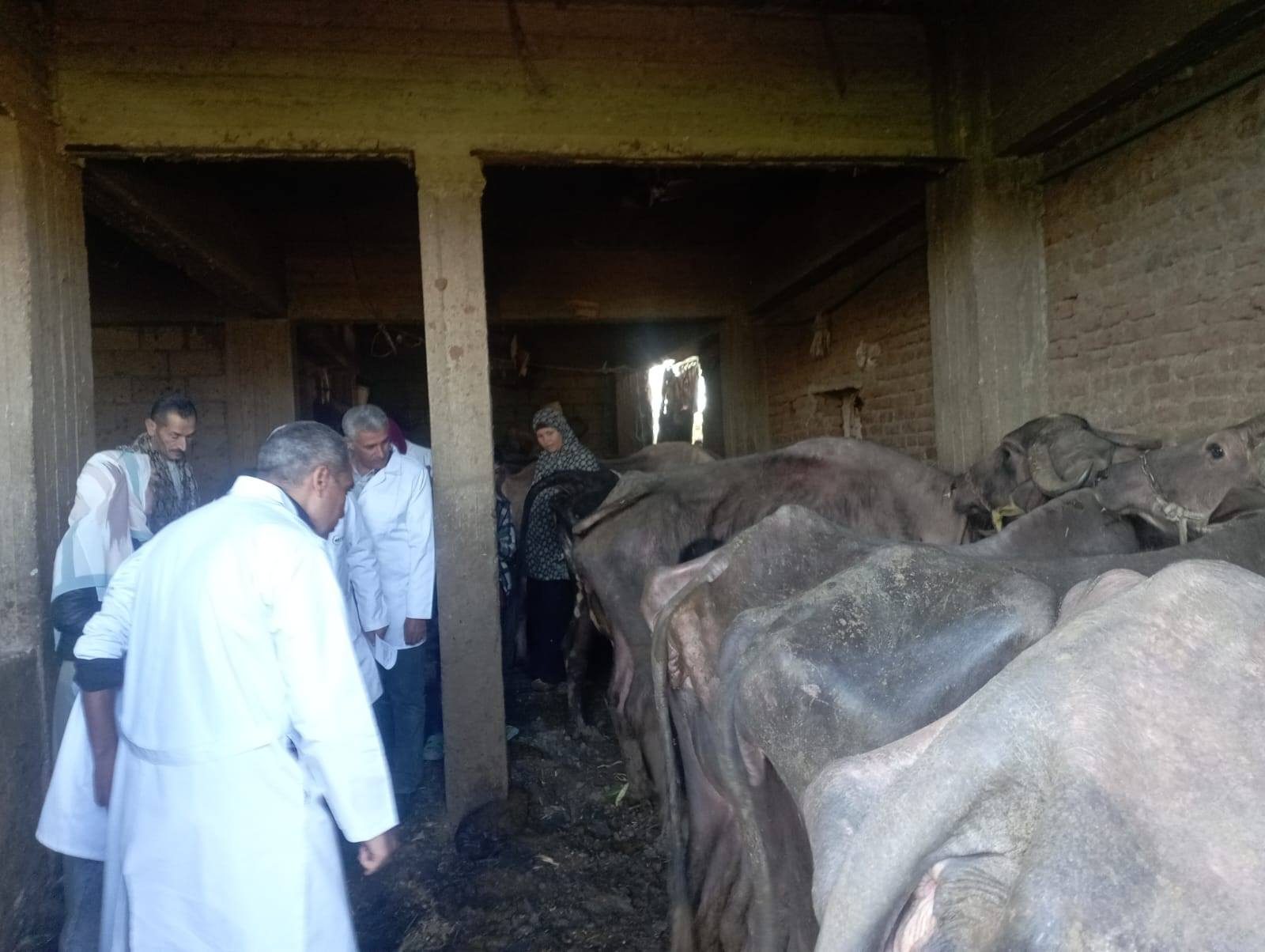 الزراعة: الحالة الوبائية مستقرة ولم نسجل أي إصابات نشطة بالأمراض الوبائية