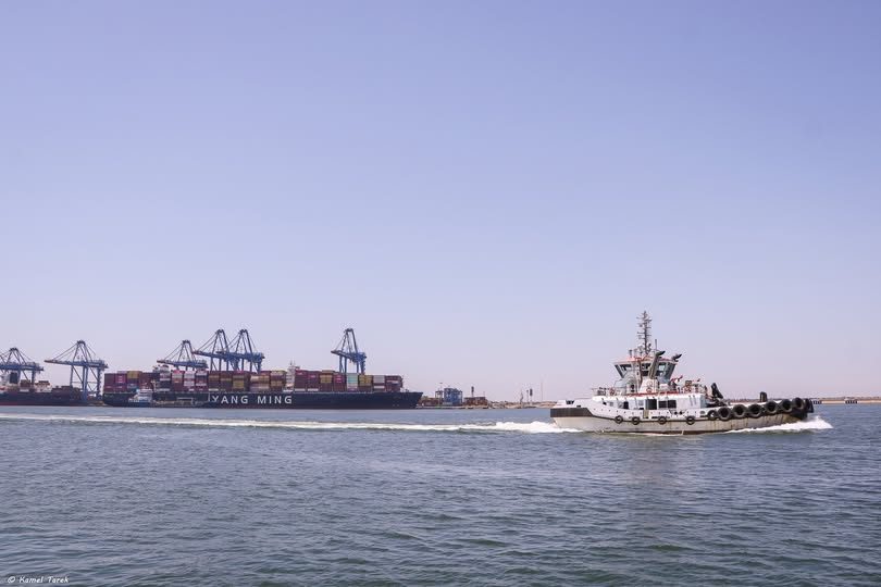 ميناء دمياط يستقبل 39165 طن ذرة و 3495 طن كسب عباد