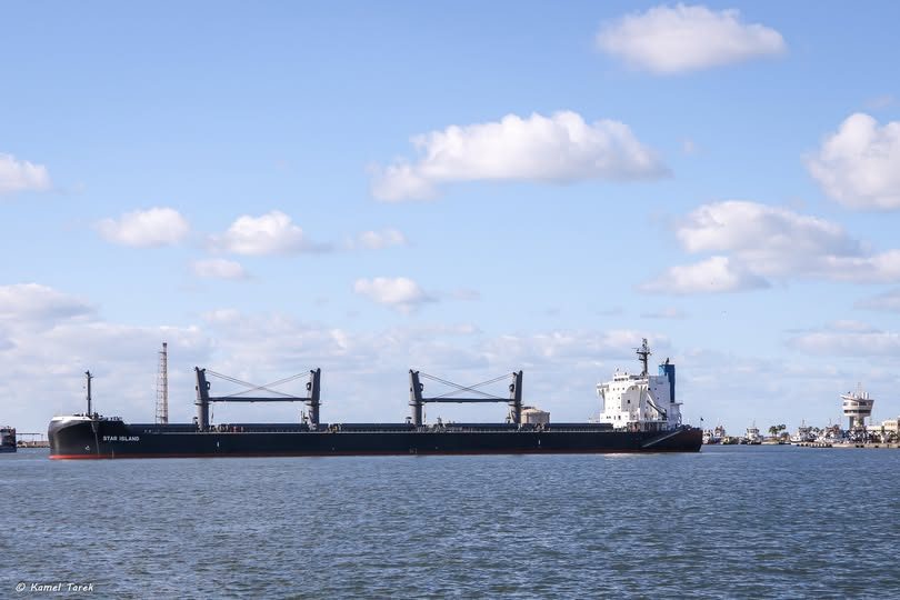 ميناء دمياط يستقبل 26886 طن ذرة و 2500 طن كسب عباد