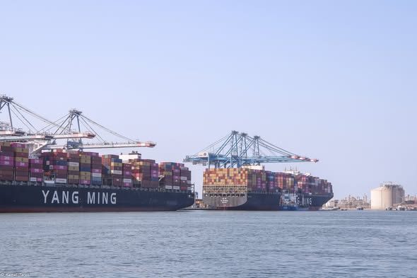 ميناء دمياط يستقبل 33553 طن ذرة و 11837 طن قمح