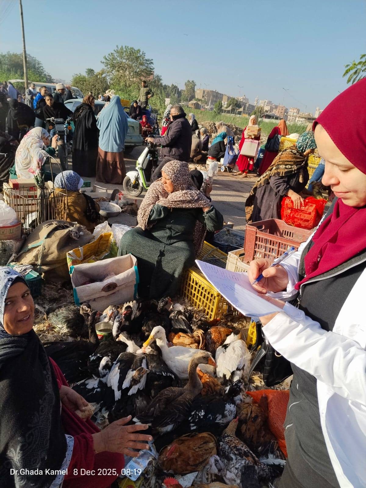 فرق التقصي والترصد الوبائي بالخدمات البيطرية تفحص 176.304 حيوان و949192 طائر خلال ديسمبر
