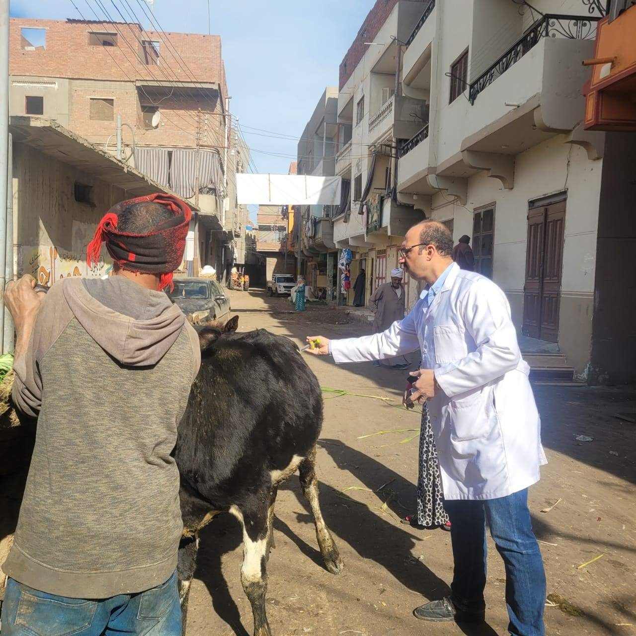 حصاد 2025.. فحص وعلاج أكثر من 1.7 مليون رأس ماشية وطائر ضمن القوافل البيطرية