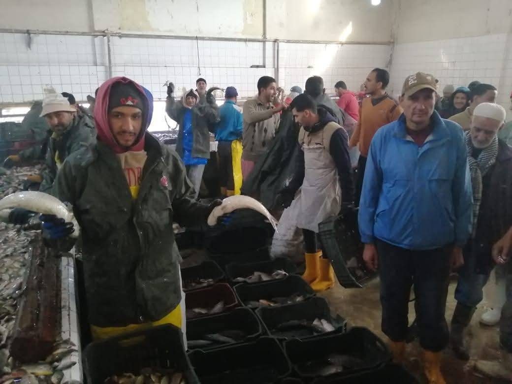 تنمية البحيرات