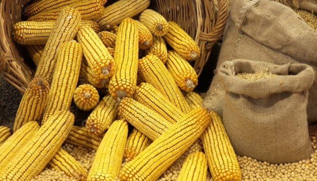 مبيعات الذرة البرازيلية الآجلة تصل إلى 72.4% وفول الصويا 18.1% لعام 2023/24