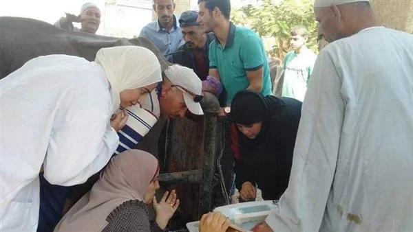 بيطري المنوفية توعى المربين بضرورة التأمين على المواشي ضد حالات النفوق