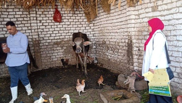 بيطري سوهاج تعقد ندوات حول الحمى القلاعية والعترة الجديدة "سات 1"