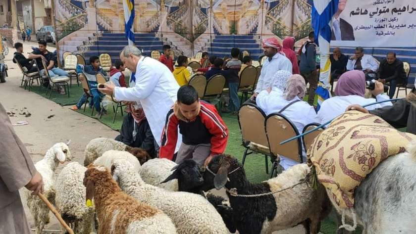 بيطري الشرقية: تنظيم قافلة طبية بيطرية شاملة بالمجان في قرية الغزالي بفاقوس