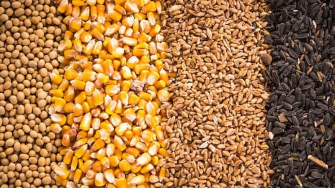 التشيك تقترح حظر واردات الحبوب الروسية والبيلاروسية إلى أوروبا