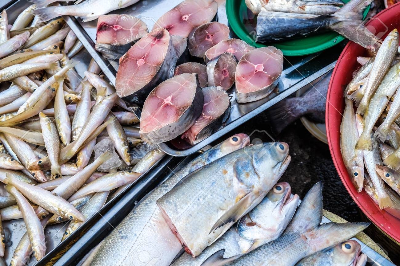 أسعار الأسماك