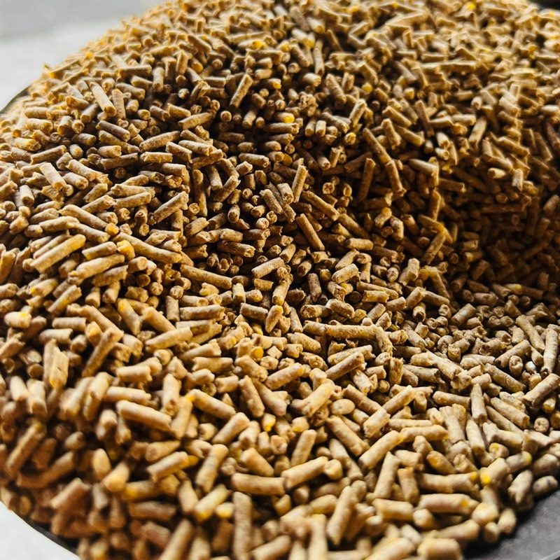 خاص| سامي عايد: السوق يعيش حالياً حالة من "الهدوء الإستثنائي" يعقبه ارتفاع في الأسعار مرة أخرى