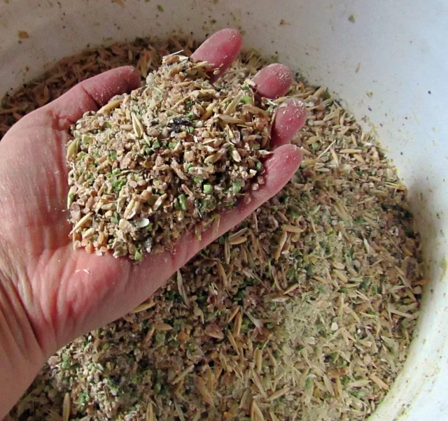 أستاذ تغذية حيوان يوضح لـ"قلم بيطري" أهم بدائل الأعلاف التى يمكن استخدامها في الصناعة