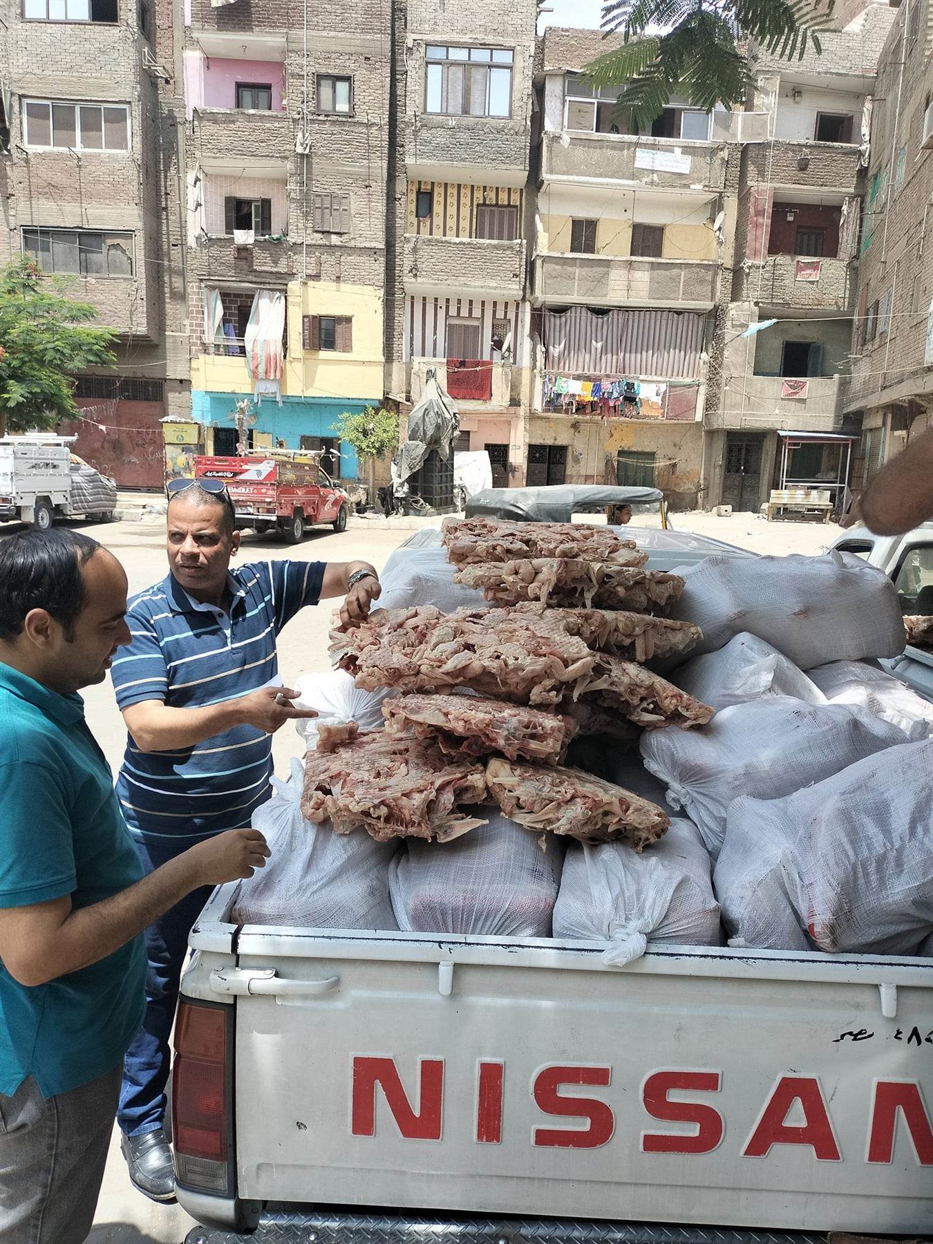 التحفظ على 1100 كيلو دواجن غير صالحة للاستهلاك الآدمي بالجيزة