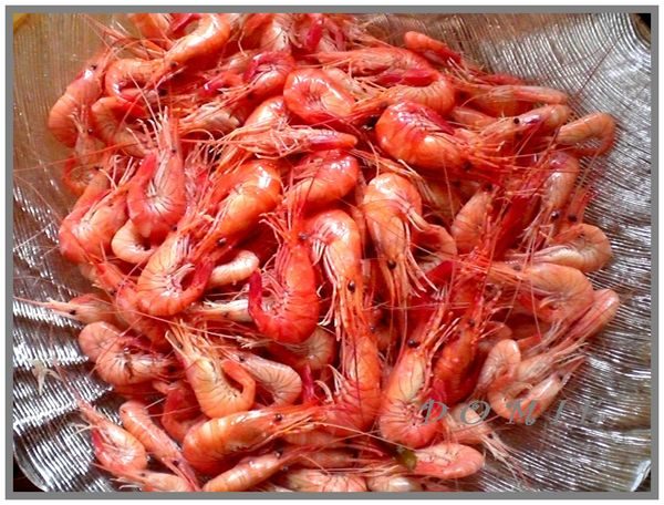 طرق الوقاية من متلازمة البراز الأبيض ومرض الأمعاء البيضاء في الجمبري