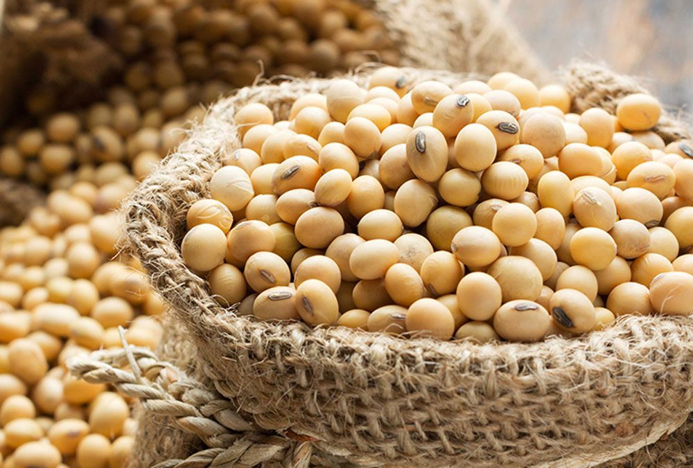 الأرجنتين تسجل رقما قياسيا لصادرات فول الصويا في موسم 2025-2026