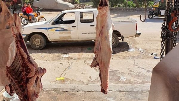 تحرير 103 محاضر تموينية متنوعة بسوهاج