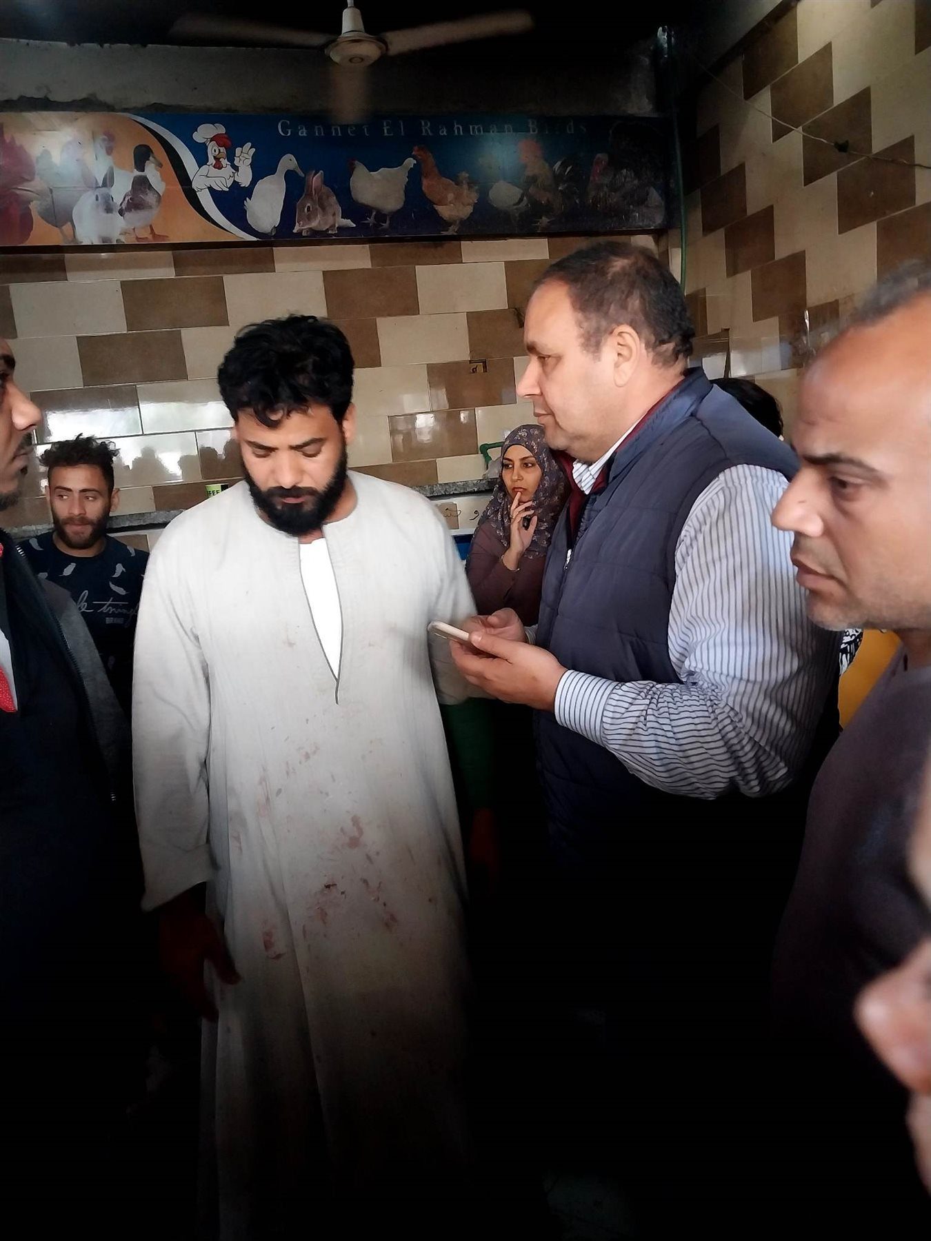 تعاني من مرض النيوكاسل.. بيطري البحر الأحمر يكشف حقيقة بيع دواجن بـ35 جنيها