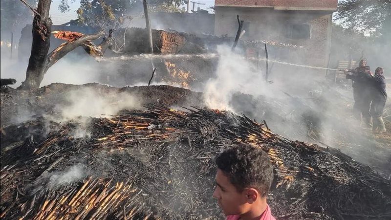 نفوق ماشية إثر حريق هائل اندلع بـ3 حظائر في المنيا