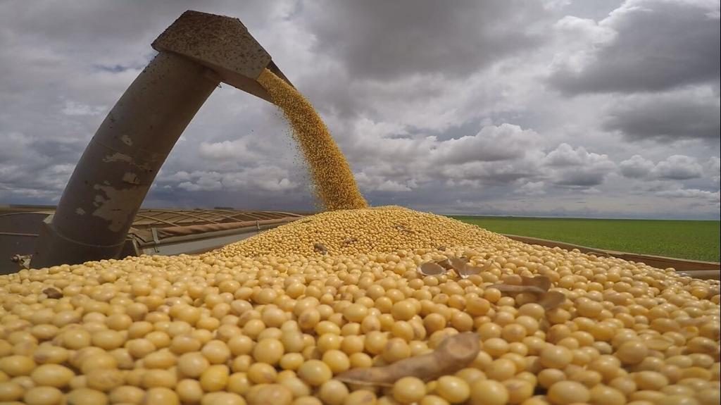رقماً قياسياً.. صادرات البرازيل من فول الصويا تسجل 108.68 مليون طن في عام 2025
