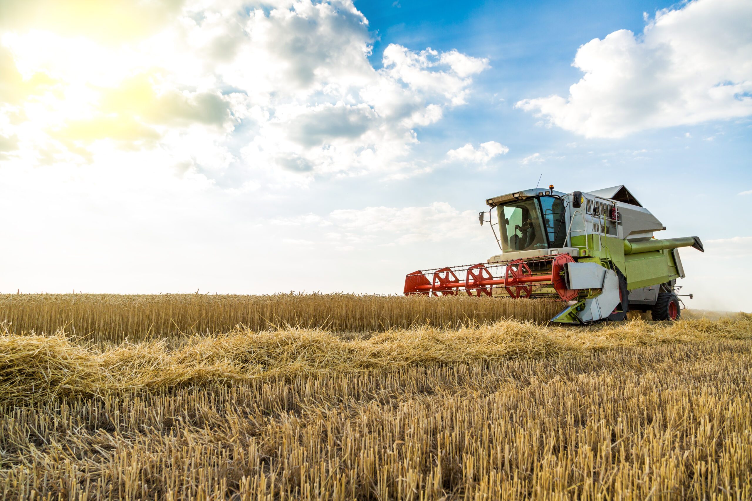 تقرير| أسعار الحبوب العالمية: تقديرات الذرة الأمريكية ومشتريات الصين من فول الصويا