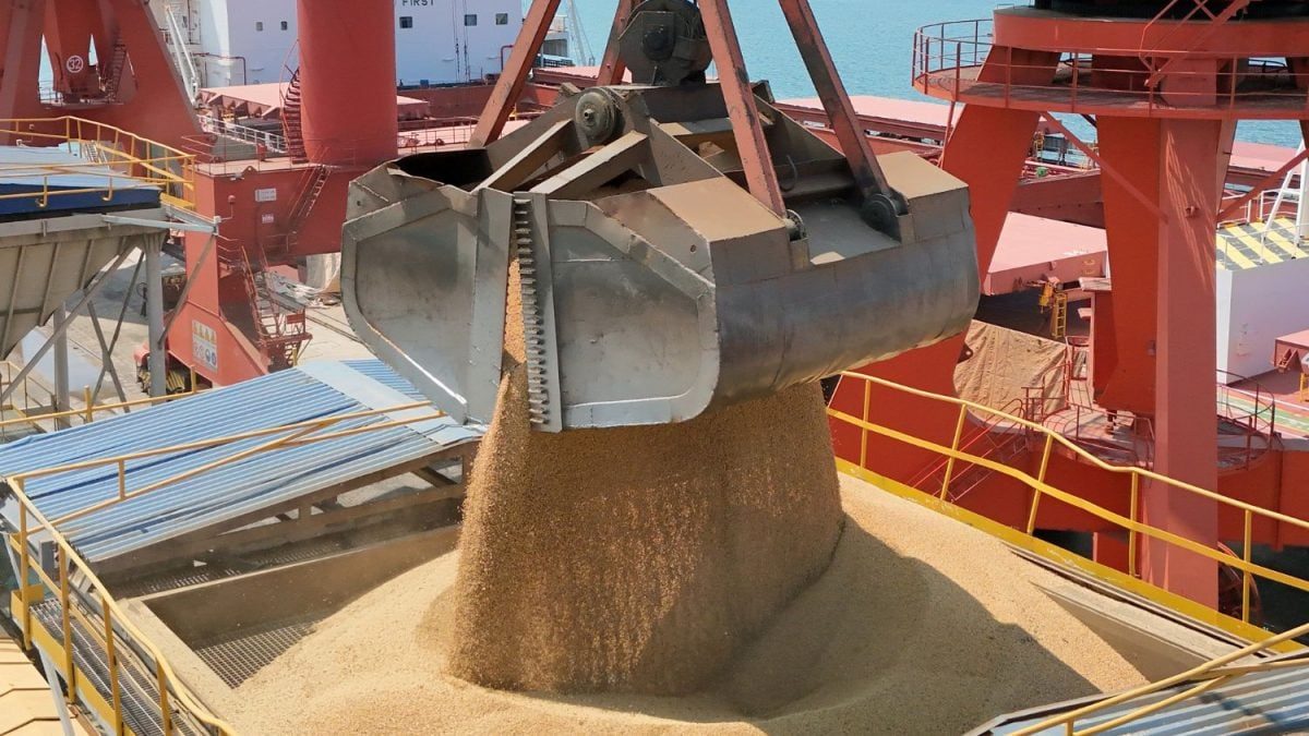 الصين تشتري 30 ألف طن من كسب الصويا الأرجنتيني