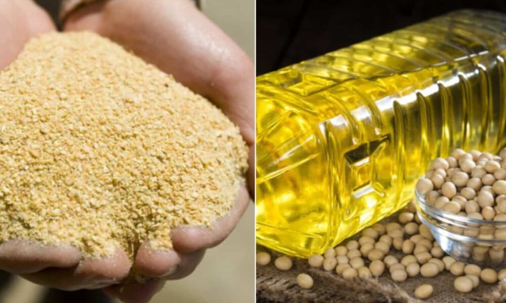 الإضراب في الأرجنتين يوجه مستوردي كسب فول الصويا إلى البرازيل