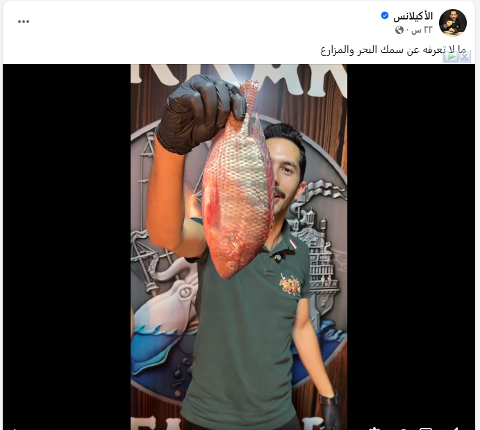 البلطي المصري