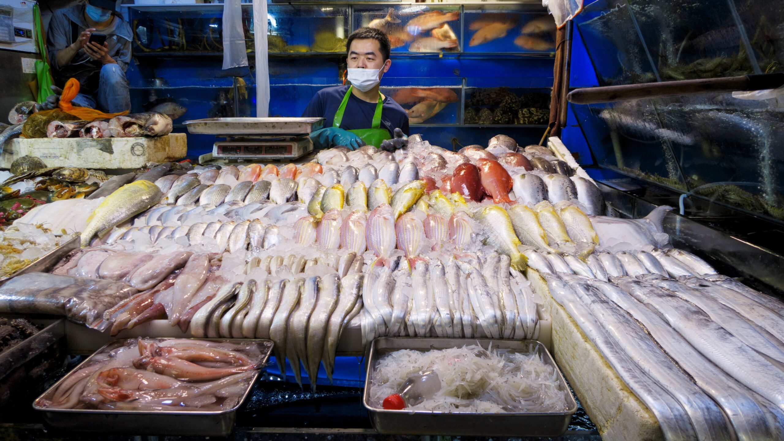 واردات الصين من المأكولات البحرية اليابانية تتراجع بنسبة 68 % في أغسطس