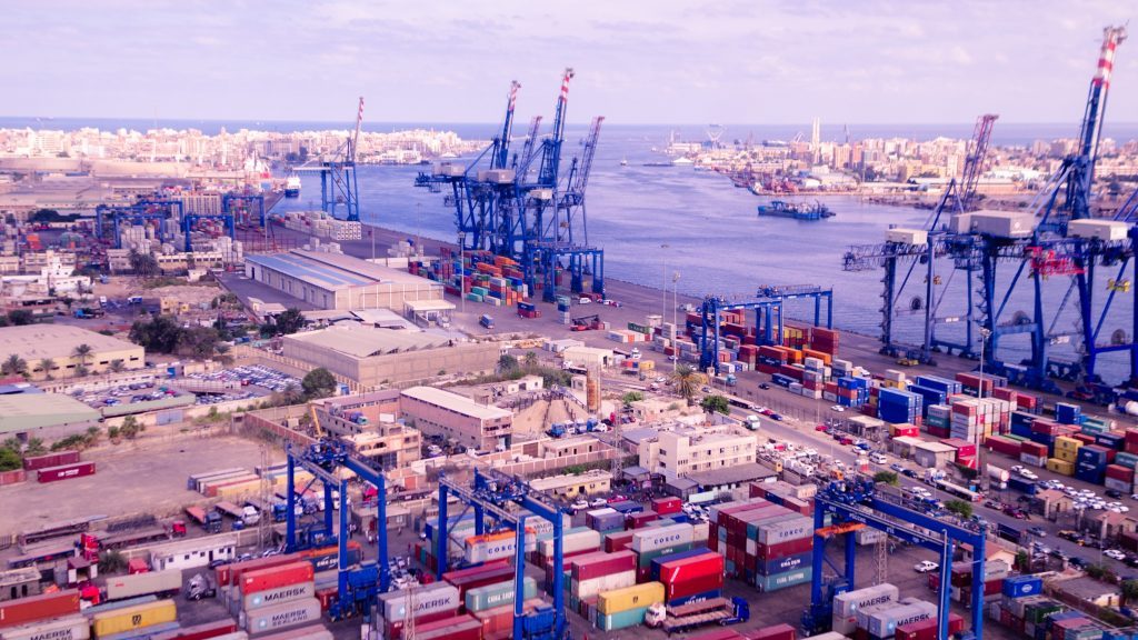 ميناء غرب بورسعيد يستقبل 13 ألف رأس ماشية حية قادمة من كولومبيا