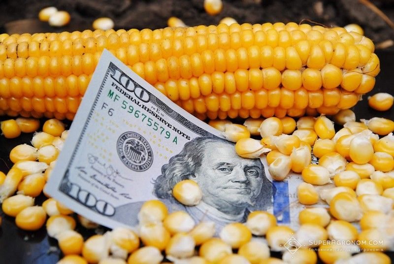 العقود الآجلة للذرة تغلق مرتفعة في ختام تعاملات الثلاثاء