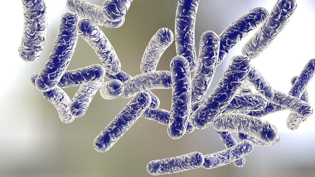 مرض الليجونيلا وكيفية الاحتماء منه