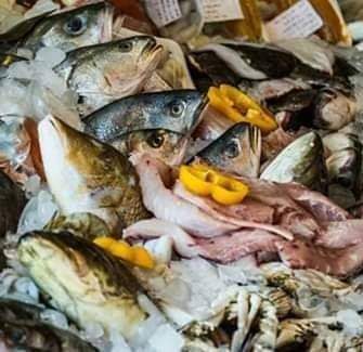 أسعار السمك اليوم الثلاثاء 14 فبراير 2023