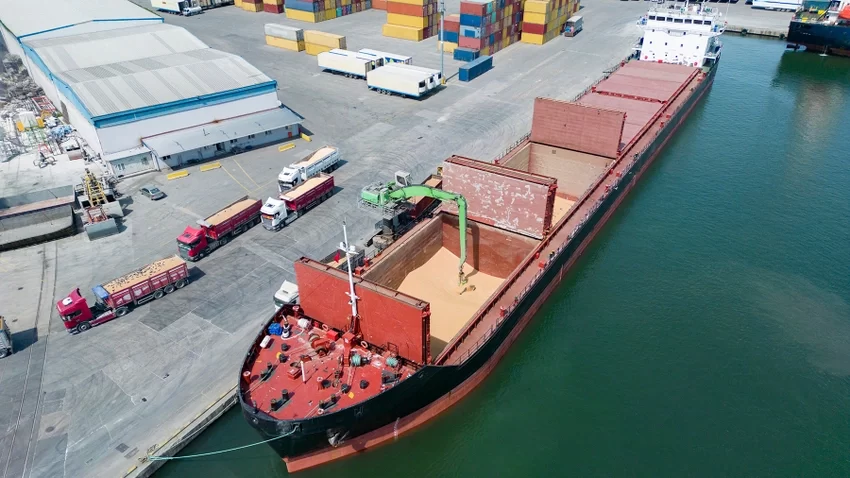 بنسبة 57٪.. عمليات فحص صادرات فول الصويا الأسبوعية في الموانئ الأمريكية ترتفع إلى 348.644 طنًا