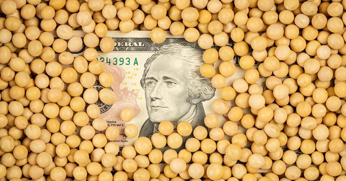 فول الصويا يسجل أعلى مستوياته في 4 أشهر وسط آمال التوصل إلى اتفاق تجاري أمريكي صيني