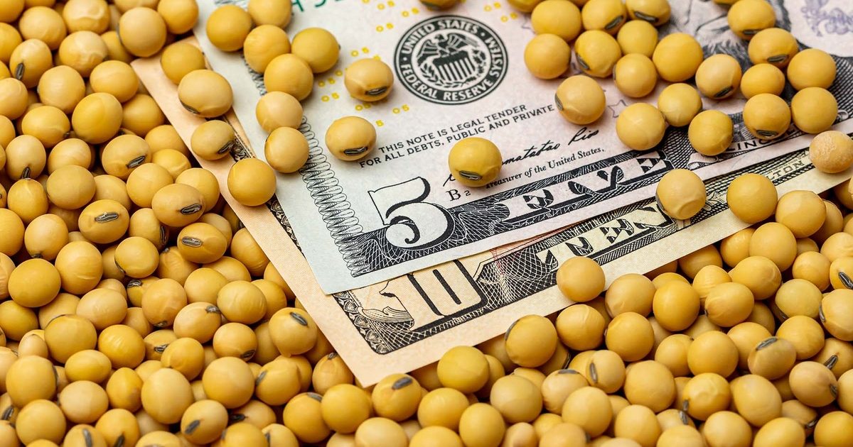 العقود الآجلة لفول الصويا تتكبد خسائر وتغلق تداولات الجمعة في المنطقة الحمراء