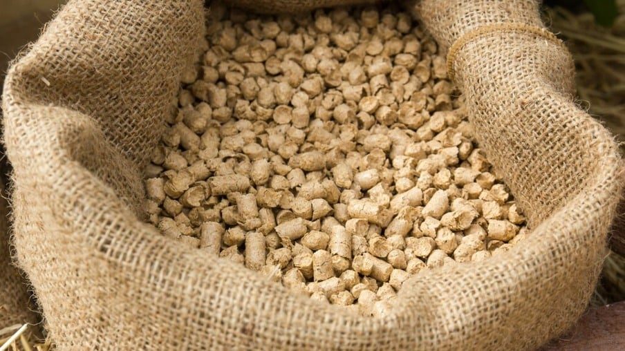 خاص| الضحي للأعلاف: عودة الآجل بالمصانع فرصة للنهوض بالصناعة خلال الفترة المقبلة