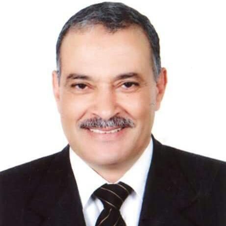 شعبة الدواجن: ضبط الأسعار لاب من خلال بورصة تحدد التكلفة الفعلية للمنتج