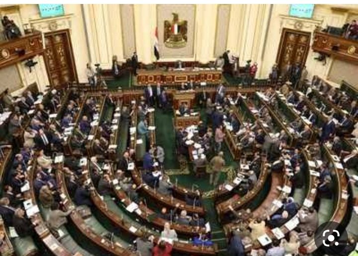 برلماني: استيراد الدواجن من الخارج قبل شهر رمضان يقضي على استغلال التجار