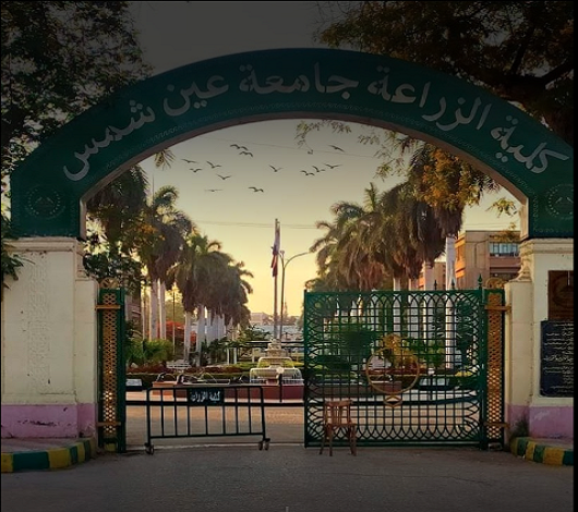 زراعة عين شمس