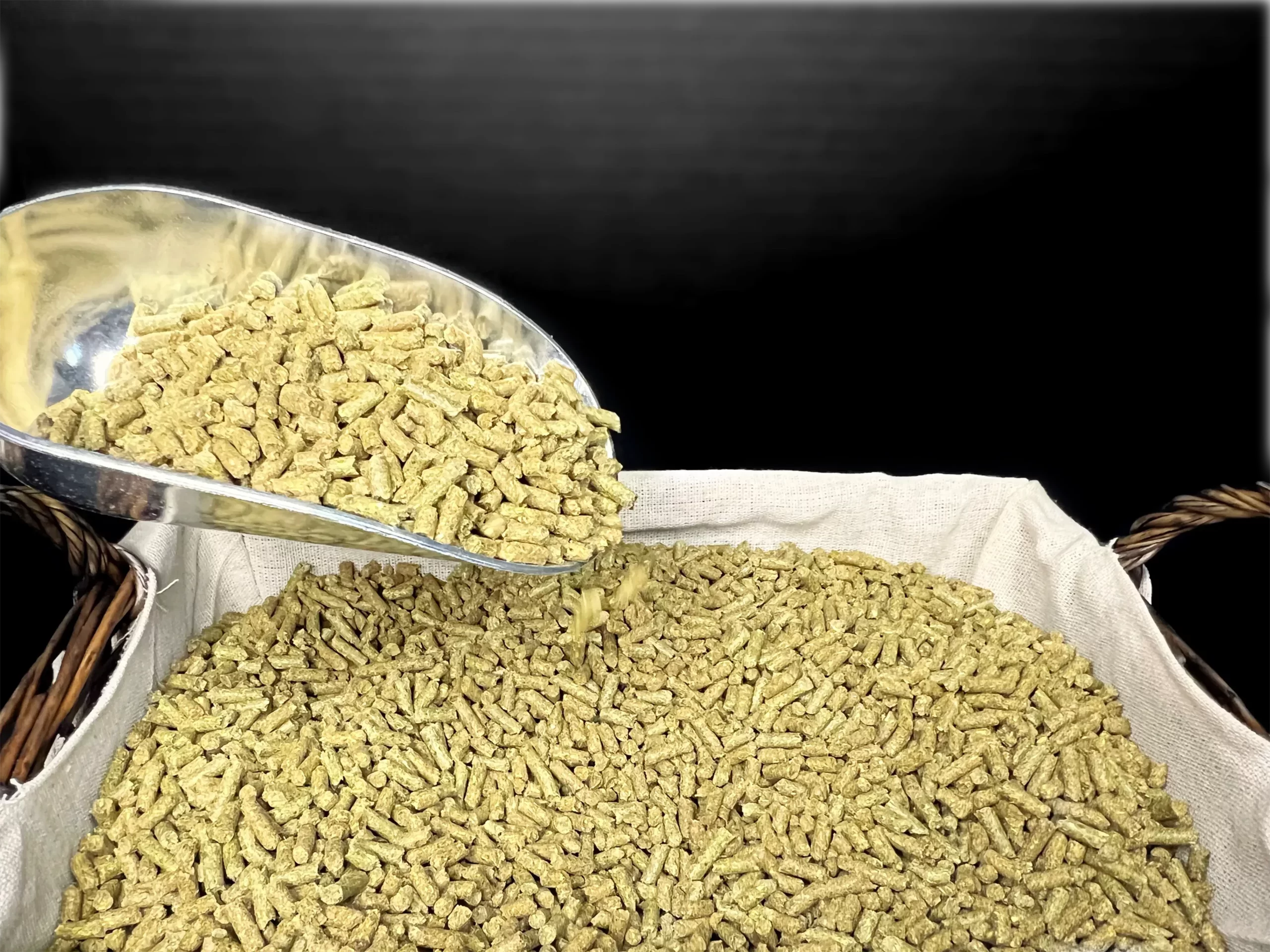 العلاف: شركات العلف تواجه أزمة في توفير الخامات وسط احتكار بعض المستورين والتجار