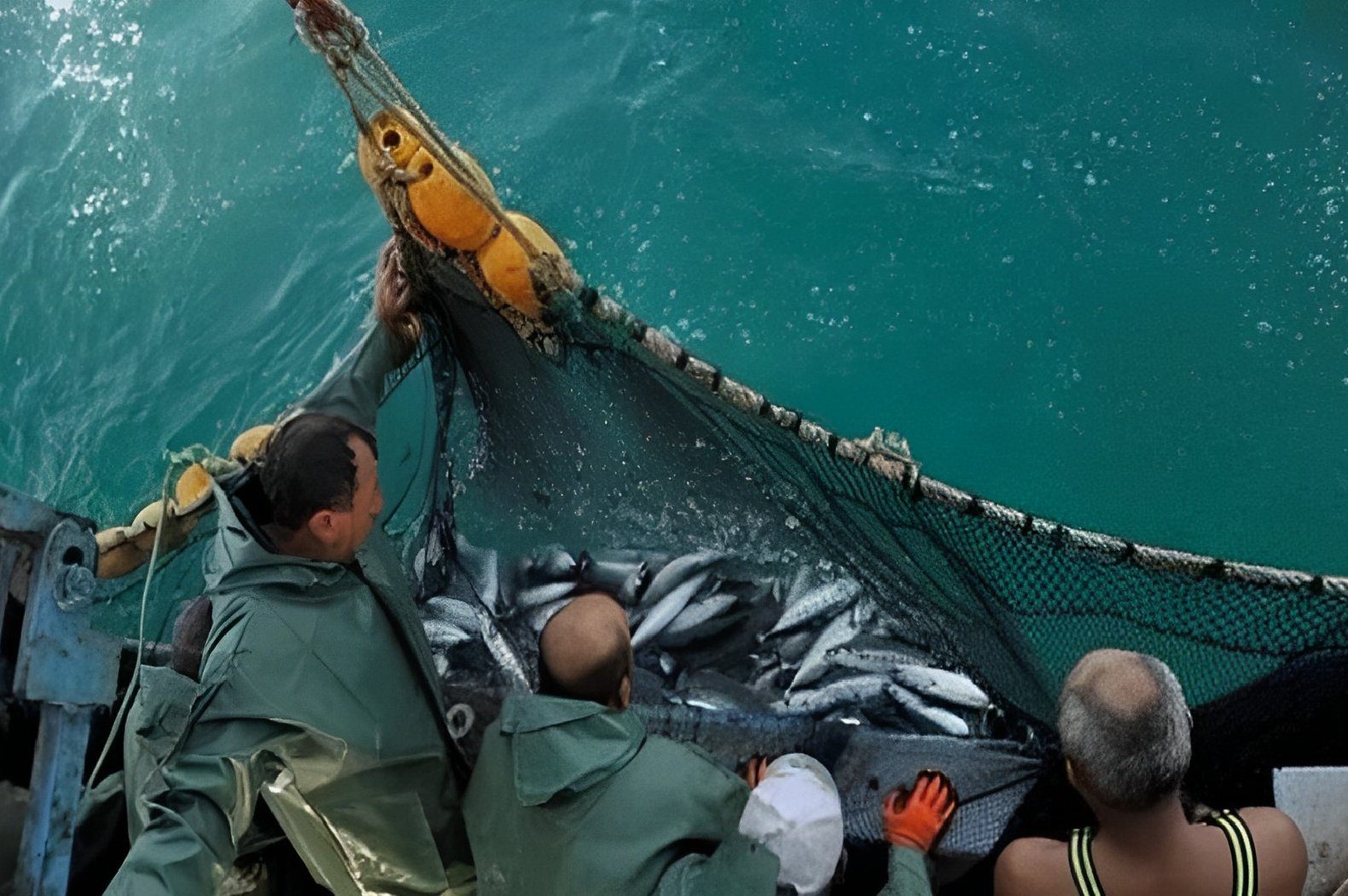 الثروة السمكية: بدء تنفيذ قرار وقف الصيد بالبحر الأحمر وخليجي السويس والعقبة