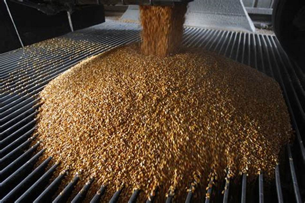 واردات الاتحاد الأوروبي من فول الصويا ترتفع بنسبة 7% للموسم الحالي